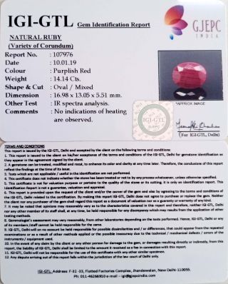15.69 Ratti Natural Indian Ruby with Govt. Lab Certificate-(1221)