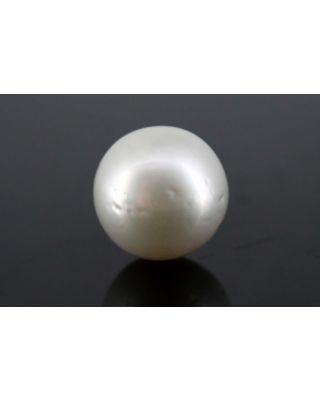 5.36/CT Natural South Sea Pearl with Govt. Lab Certificate-1550    