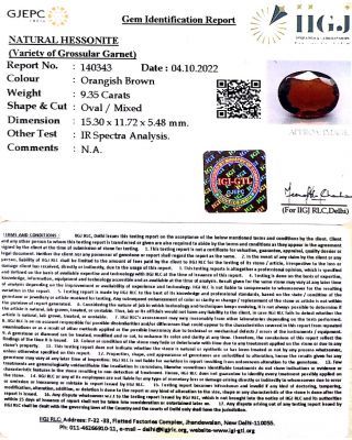 9.35/CT Natural Govt. Lab Certified Ceylonese Gomed-(1221)           