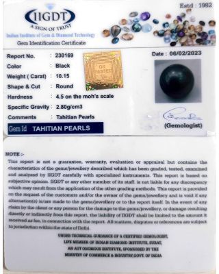 10.15/CT Natural Tahitian Pearl With Lab Certificate-(1332)              