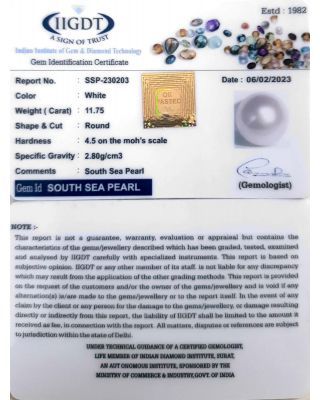 11.75/CT Natural South Sea Pearl With Lab Certificate-(1332)            