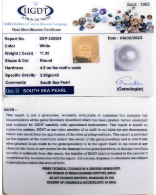 11.35/CT Natural South Sea Pearl With Lab Certificate-(1332)            