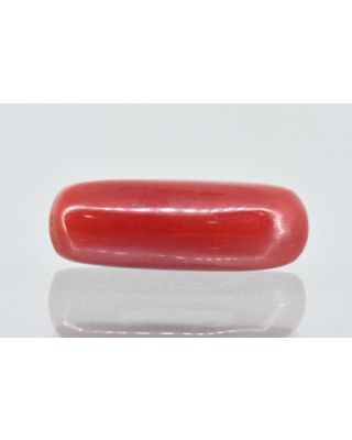 6.34/Carat Natural Cylindrical Red Coral-1800