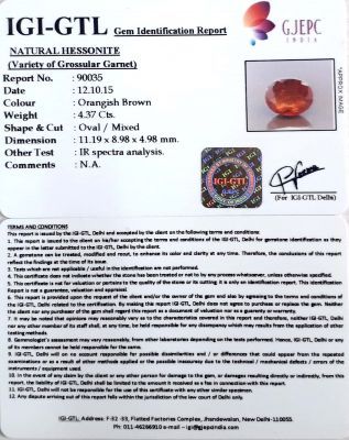 4.85 Ratti Natural Hessonite with Govt. Lab Certificate-(1221)