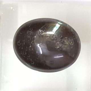 15.66 Ratti Natural Scapolite Cat's Eye with Govt. Lab Certified-(1221)