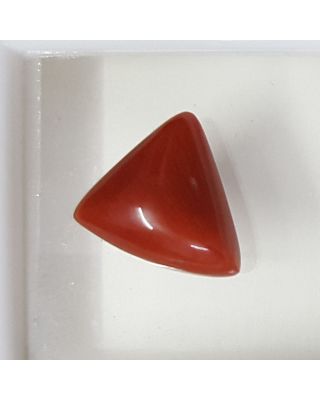 4.60/CT Natural Triangular Red Coral-1054      