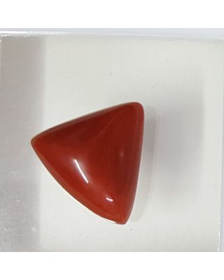 4.70/CT Natural Triangular Red Coral-1054      