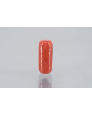 10.52/Carat Natural Cylindrical Red Coral (1800)                