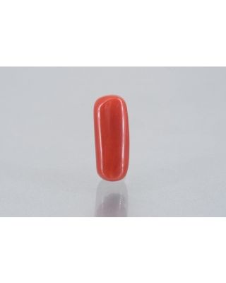 8.24/Carat Natural Cylindrical Red Coral (1800)                