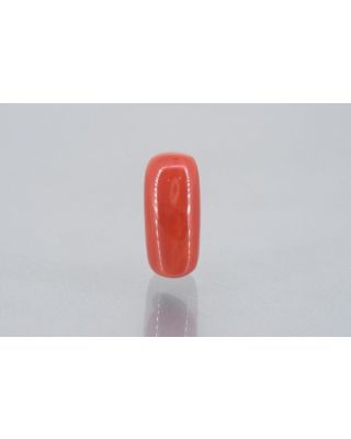 9.49/Carat Natural Cylindrical Red Coral (1800)               