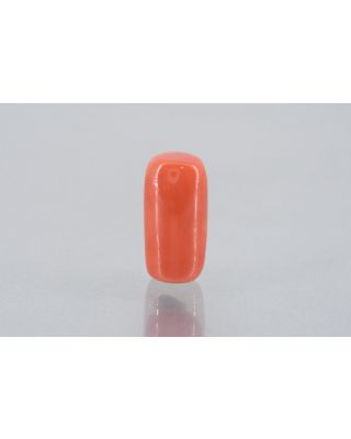9.89/Carat Natural Cylindrical Red Coral (1800)               