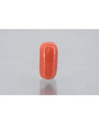 11.12/Carat Natural Cylindrical Red Coral (1800)               