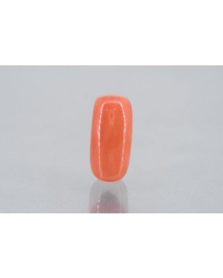 10.99/Carat Natural Cylindrical Red Coral (1800)         