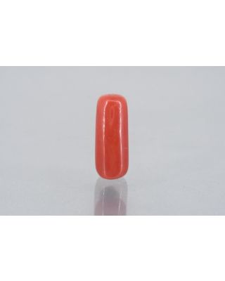 7.35/Carat Natural Cylindrical Red Coral (1800)        