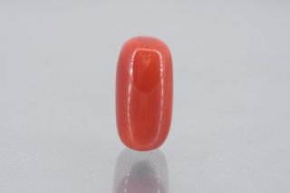 11.94/Carat Natural Cylindrical Red Coral (1800)        