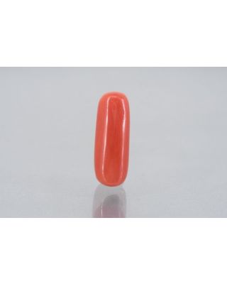 8.29/Carat Natural Cylindrical Red Coral (1800)        