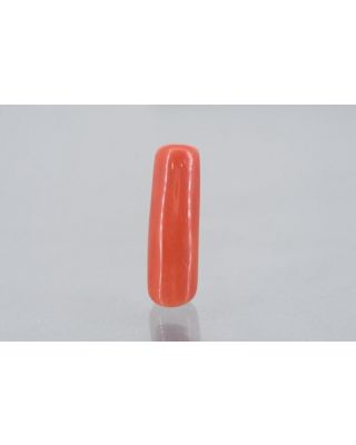 8.41/Carat Natural Cylindrical Red Coral (1800)        