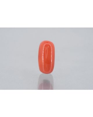 9.79/Carat Natural Cylindrical Red Coral (1800)        