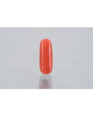 7.17/Carat Natural Cylindrical Red Coral (1800)        