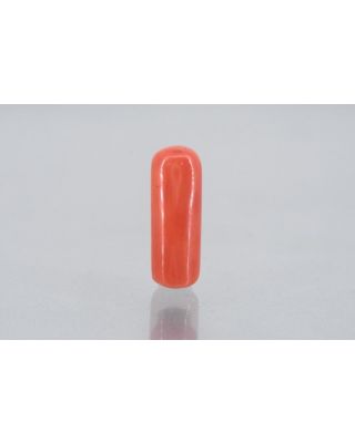 7.61/Carat Natural Cylindrical Red Coral (1800)       