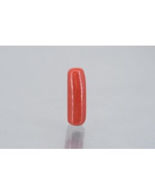 8.60/Carat Natural Cylindrical Red Coral (1800)       