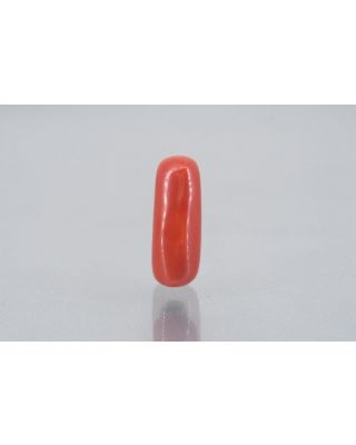 8.02/Carat Natural Cylindrical Red Coral (1800)         