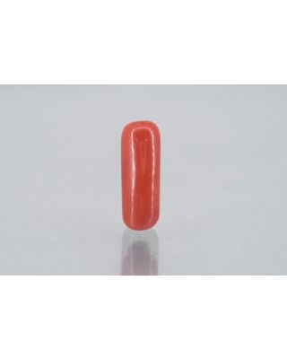 7.79/Carat Natural Cylindrical Red Coral (1800)         