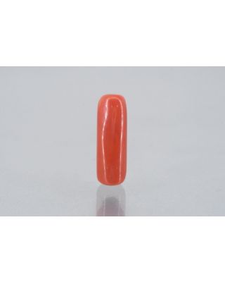 7.48/Carat Natural Cylindrical Red Coral (1800)        
