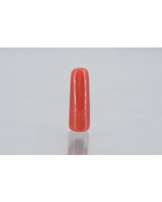 7.17/Carat Natural Cylindrical Red Coral (1800)        