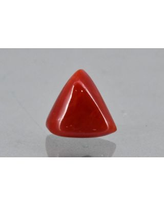 10.63/CT Natural Triangular Red Coral-2150                 