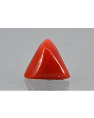 11.53/CT Natural Triangular Red Coral-2150                 