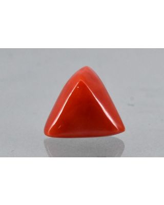 8.91/CT Natural Triangular Red Coral-2150                 