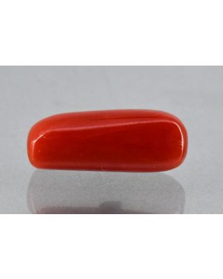 8.65/Carat Natural Cylindrical Red Coral (2100)       