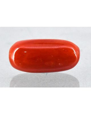 6.73/Carat Natural Cylindrical Red Coral (2100)       