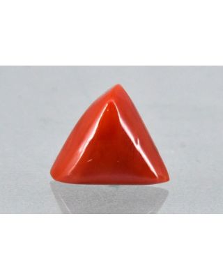 7.14/CT Natural Triangular Red Coral-2150                 