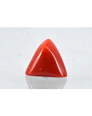  6.99/CT Natural Triangular Red Coral-2150                