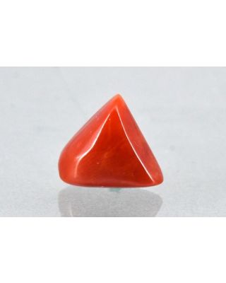 6.91/CT Natural Triangular Red Coral-2150                