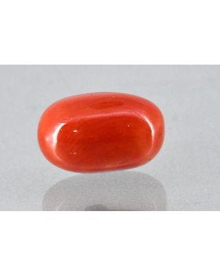 11.90/Carat Natural Cylindrical Red Coral (2100)       