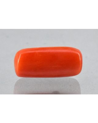 8.11/Carat Natural Cylindrical Red Coral (2100)       