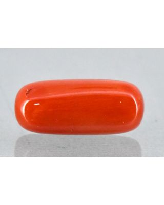 8.40/Carat Natural Cylindrical Red Coral (2100)       