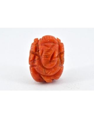 15.39/CT Natural Italian Coral Ganesha-4500 