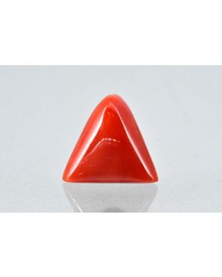 6.94/CT Natural Triangular Red Coral-1800      