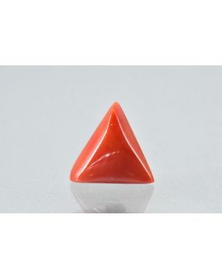 7.39/CT Natural Triangular Red Coral-1800      