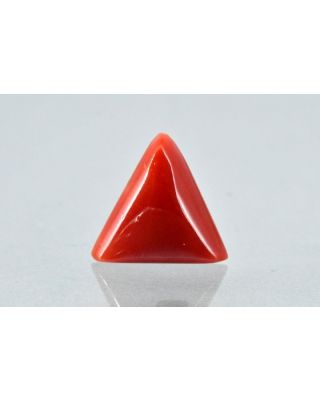 6.56/CT Natural Triangular Red Coral-1800       