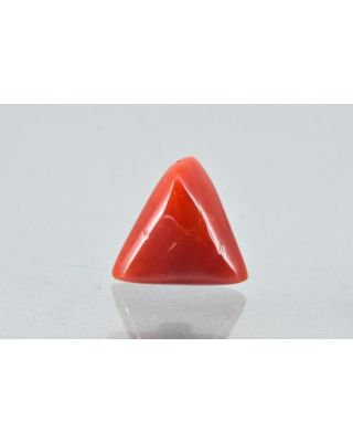 6.96/CT Natural Triangular Red Coral-1800       