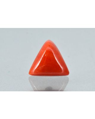 6.88/CT Natural Triangular Red Coral-1800       