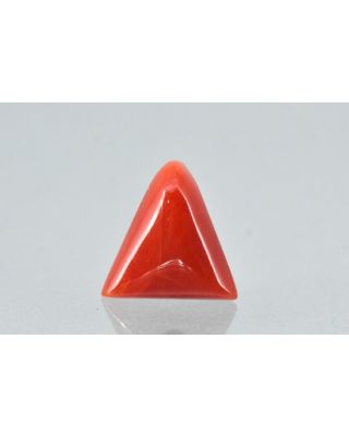 6.86/CT Natural Triangular Red Coral-1800       