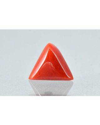 6.16/CT Natural Triangular Red Coral-1800       