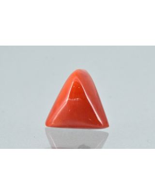 7.77/CT Natural Triangular Red Coral-1800       