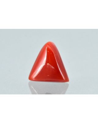 6.75/CT Natural Triangular Red Coral-1800       